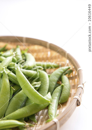 豌豆進入了 豌豆進入了 10616449