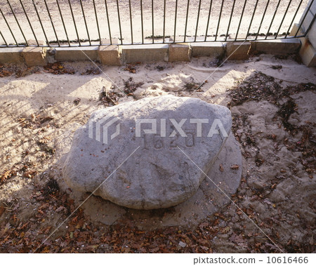 Plymouth Rock 10616466