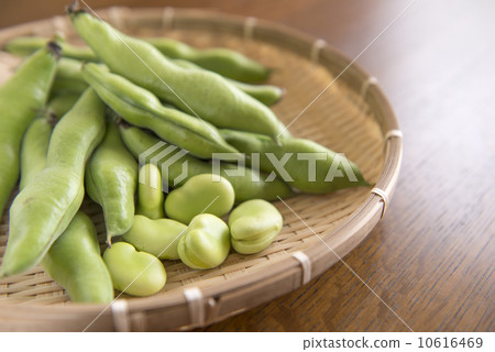 Broad beans 10616469