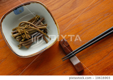 蕨菜 蕨菜 10616903