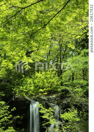 Fresh water falls Fresh water falls 10617832