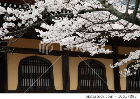 Spring of Nanzenji Spring of Nanzenji 10617888