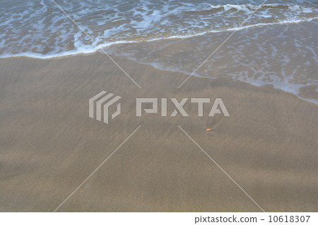 一個海灘 一個海灘 10618307