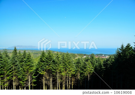 Trappist monastery and the sea 10619008