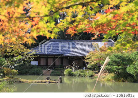 Joruri寺 Joruri寺 10619032