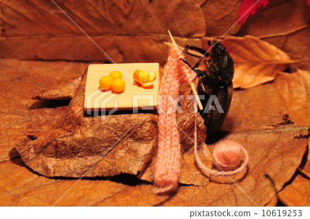 Insect winter 10619253