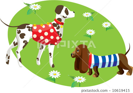 illustration with dogs in clothes (Dalmatian and dachshund) illustration with dogs in clothes (Dalmatian and dachshund) 10619415