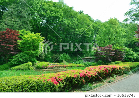 Yakushiya Park in May Yakushiya Park in May 10619745
