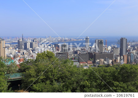 Venus Bridge 10619761