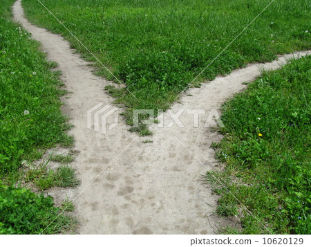 草和分開的道路 草和分開的道路 10620129