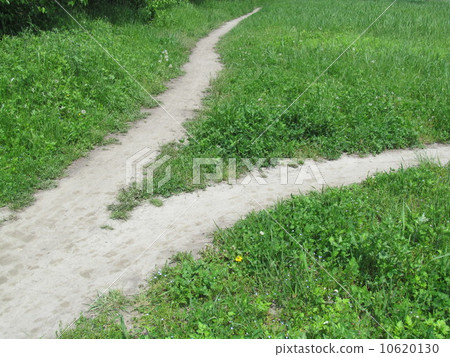 Grass and parting road Grass and parting road 10620130