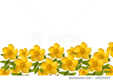 Quincebai噴泉 10620267