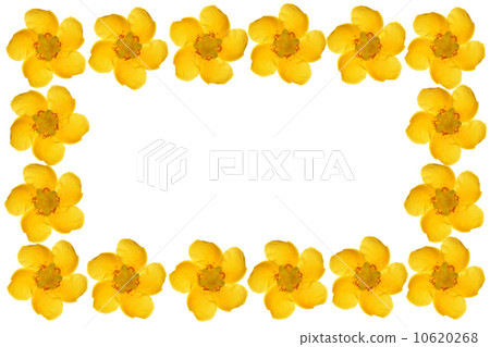 Fountain of quincebai 10620268