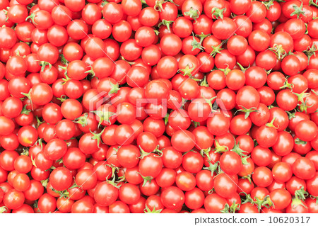 Mini Tomato Mini Tomato 10620317