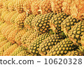 pineapple  10620328