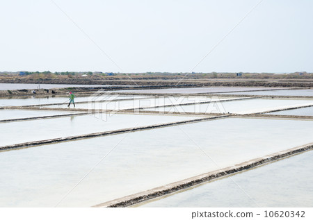 salt plantations, Vietnam 10620342
