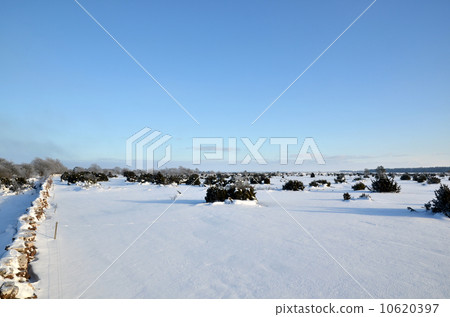 Winter at great plain area 10620397