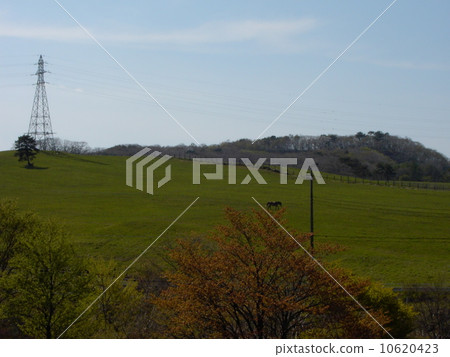  Kiritokogen 10620423