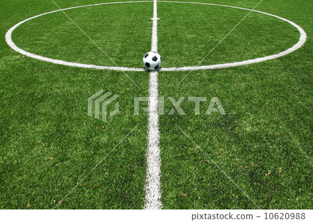 soccer field grass 10620988