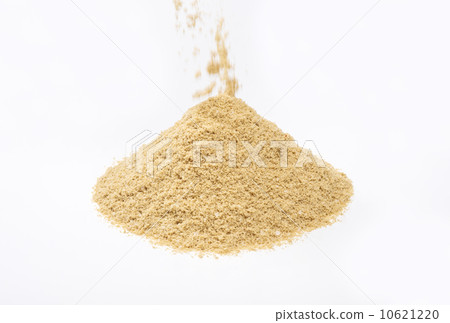 Bunny image material 10621220