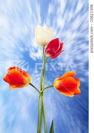 Easter Easter 10621306