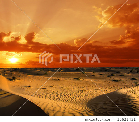Desert landscape 10621431