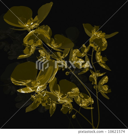 bouquet of orchids bouquet of orchids 10621574