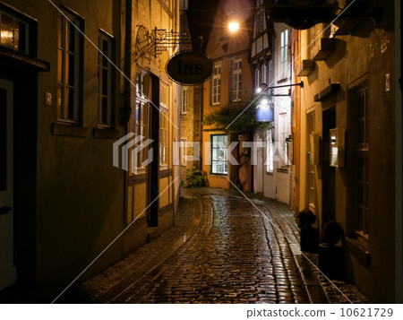 斯諾伊街在晚上 10621729