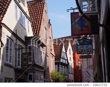 雪域城市的街道 10621732