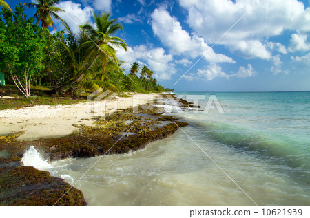 tropical sea tropical sea 10621939
