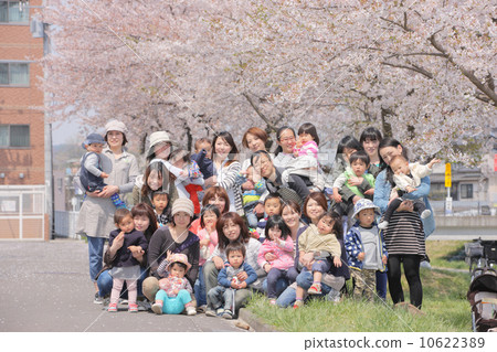 Cherry blossom viewing with mothers and children Cherry blossom viewing with mothers and children 10622389
