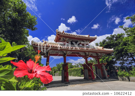 幕府和芙蓉 幕府和芙蓉 10622412