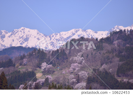 The spring landscape of the most beautiful village in Japan The spring landscape of the most beautiful village in Japan 10622453