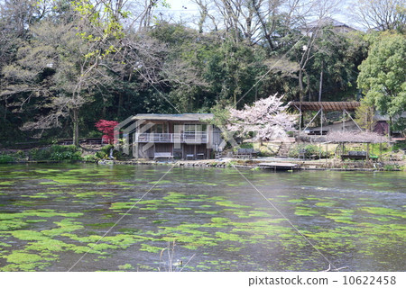 Kakita河的風景 10622458