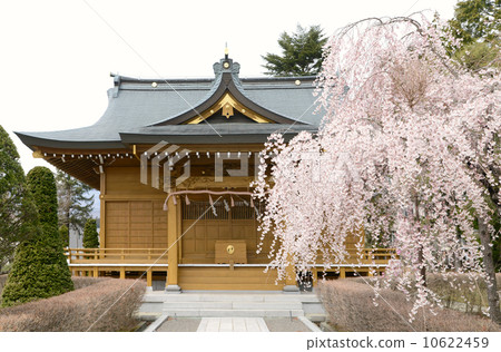 伊娜神社 10622459