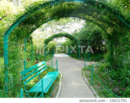 莫奈的花園 10622791