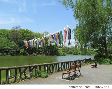 Carp streamers of Zenfukuji Park 10632854