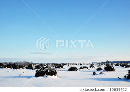 Winter view 10635732