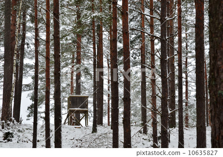 Hunting tower in winter woods Hunting tower in winter woods 10635827