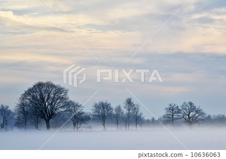 Misty and frosty day Misty and frosty day 10636063