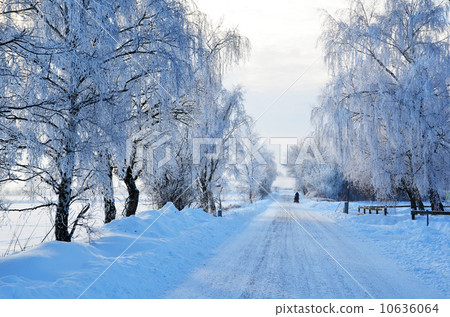 White road view White road view 10636064