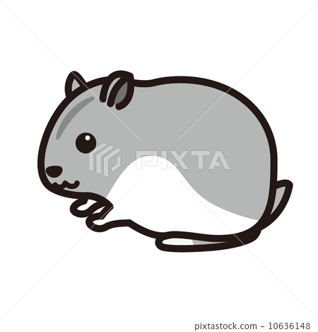 倉鼠 倉鼠 10636148