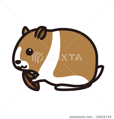 Hamster 10636149