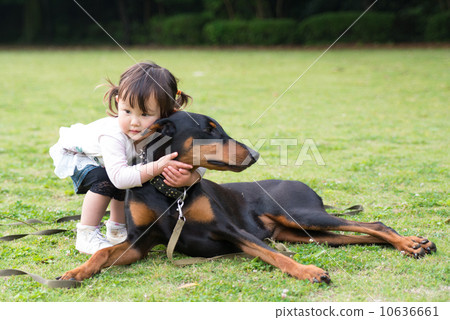 女孩和杜賓犬 10636661