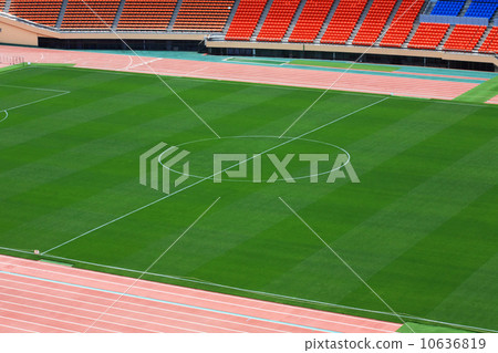 體育場的形象 10636819