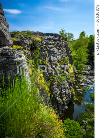 photo of high cliff on river grown with flowers and grass photo of high cliff on river grown with flowers and grass 10636878