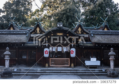 平野神社正殿 平野神社正殿 10637279