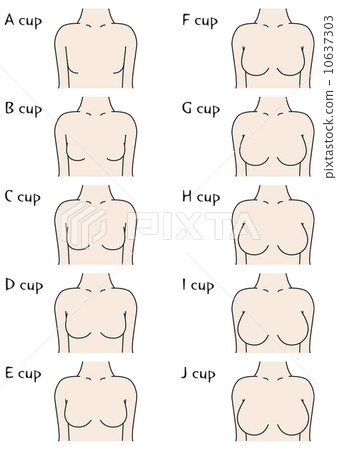 Bust cup size (front) - Stock Illustration [10637303] - PIXTA