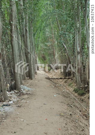 中國維吾爾自治區庫車 10637415