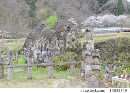 Kintaro's play stone Kintaro's play stone 10638539